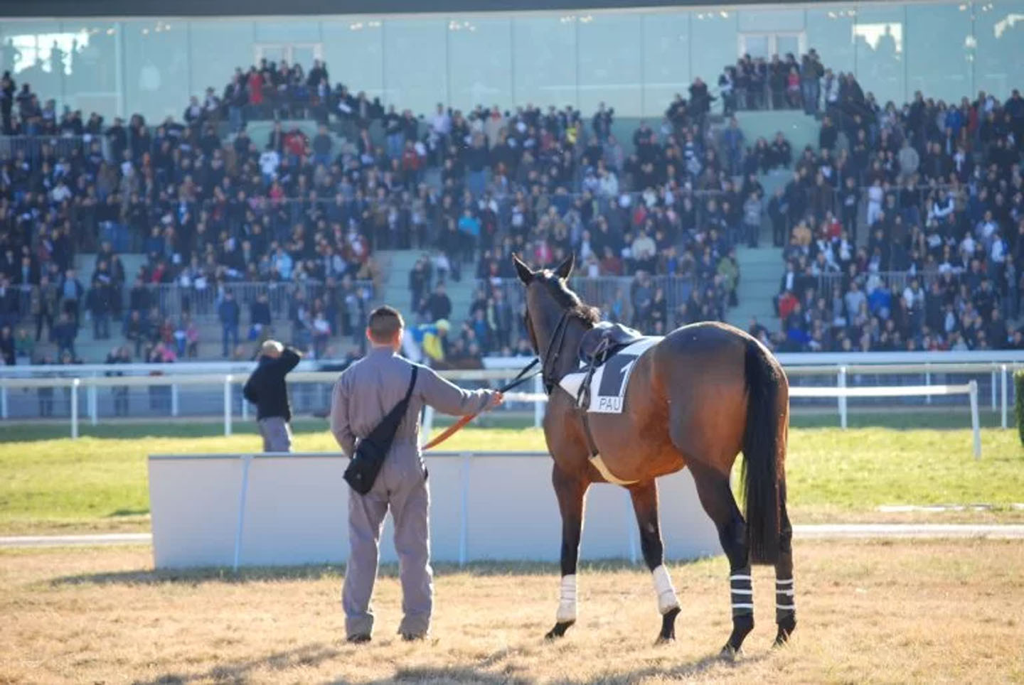 Clinique Equine de Sers - Evènementiel